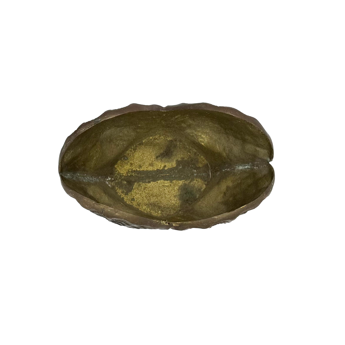 Clam Shell Brass Planter - top