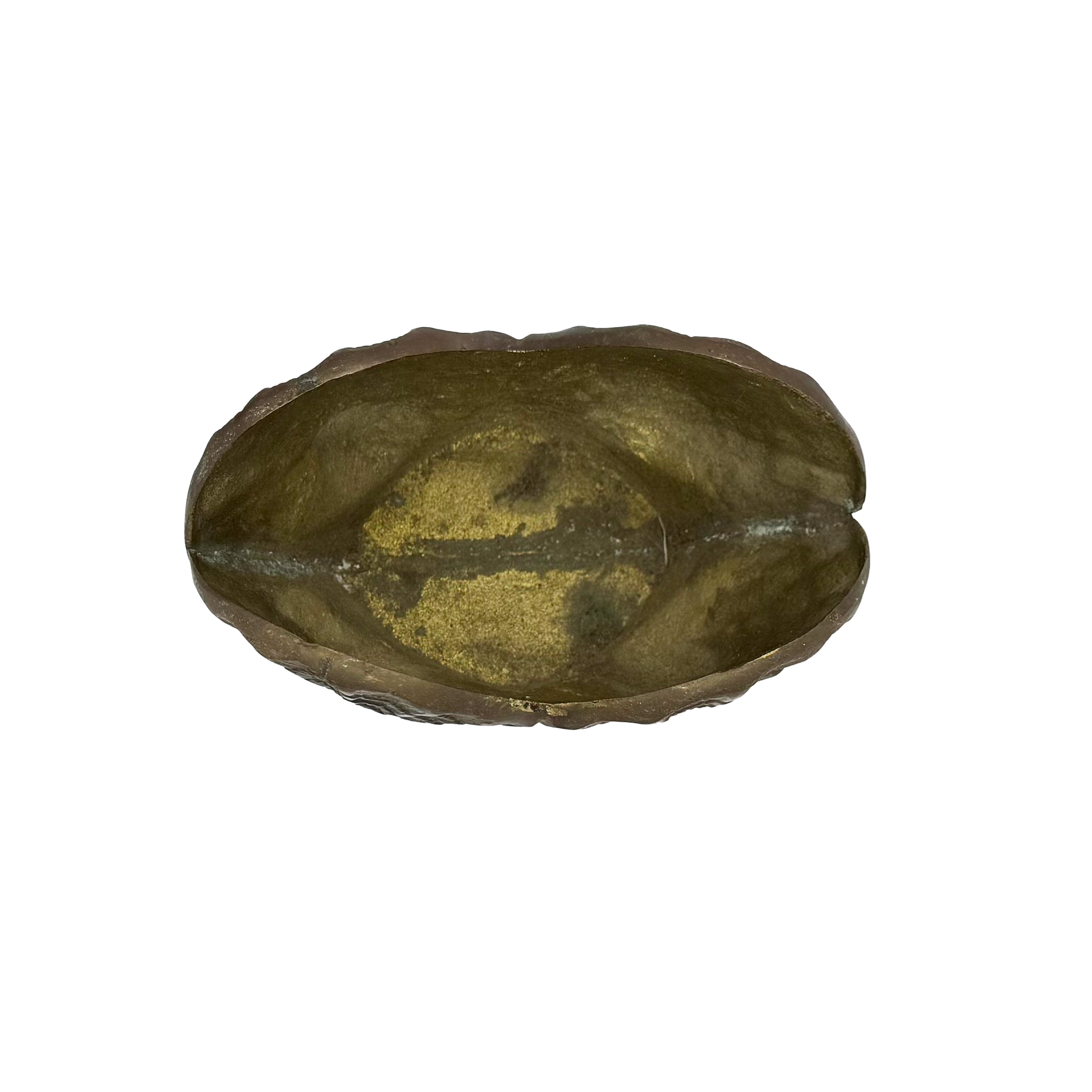 Clam Shell Brass Planter - top